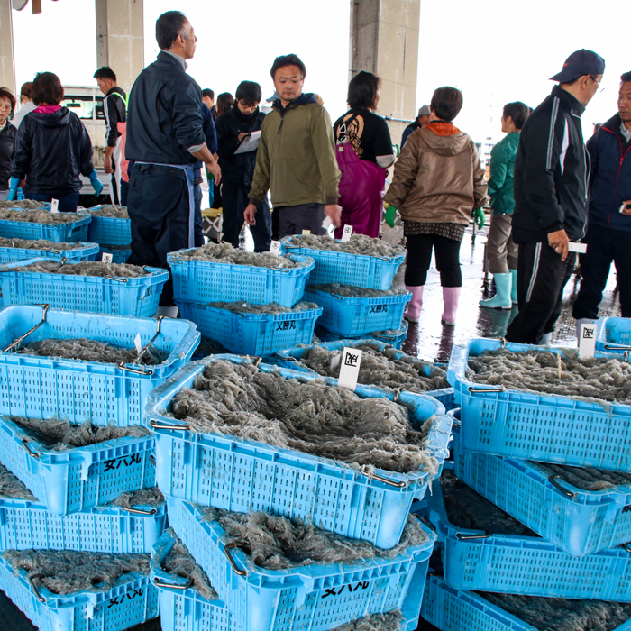 無添加ふわふわしらす　90g