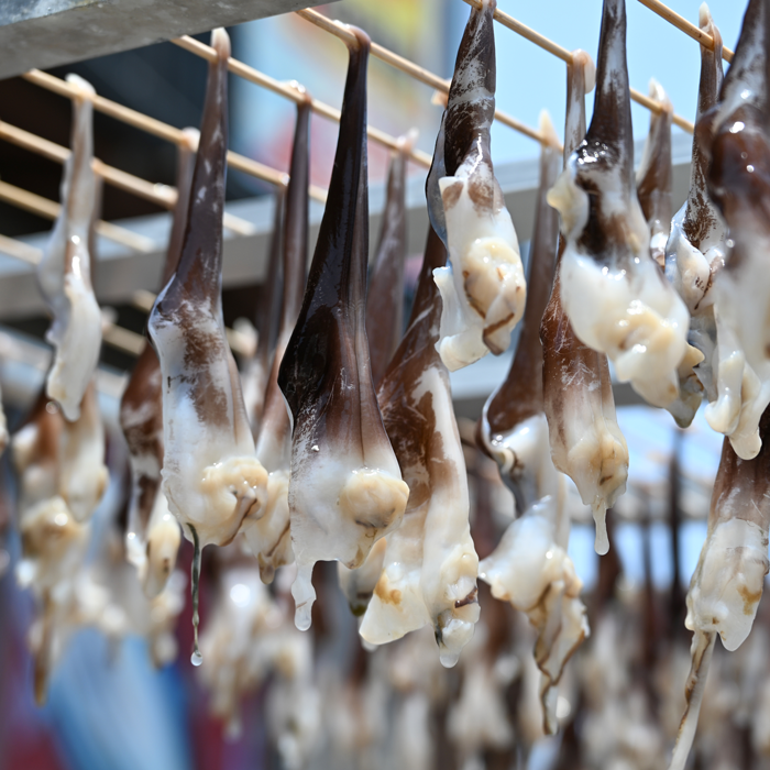 串とり貝　２串　(とり貝の干物)