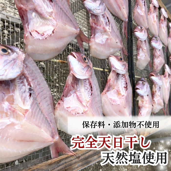 （伊勢神宮外宮奉納品）　天然真鯛の干物