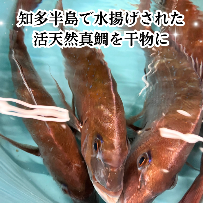 （伊勢神宮外宮奉納品）　天然真鯛の干物