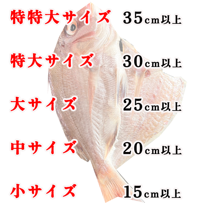 （伊勢神宮外宮奉納品）　天然真鯛の干物