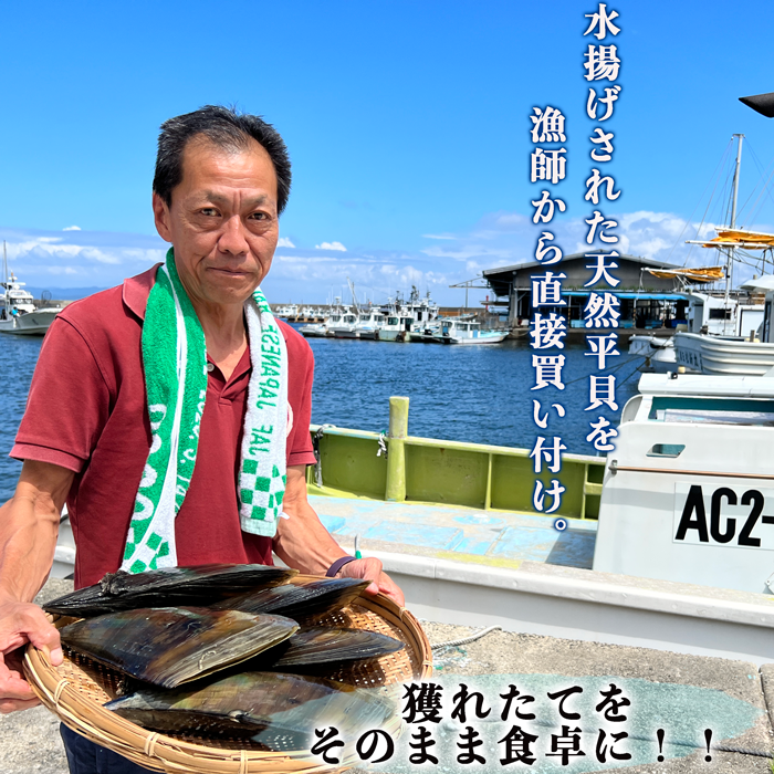 天然平貝スライス 2袋or4袋セット(冷凍) (送料無料)