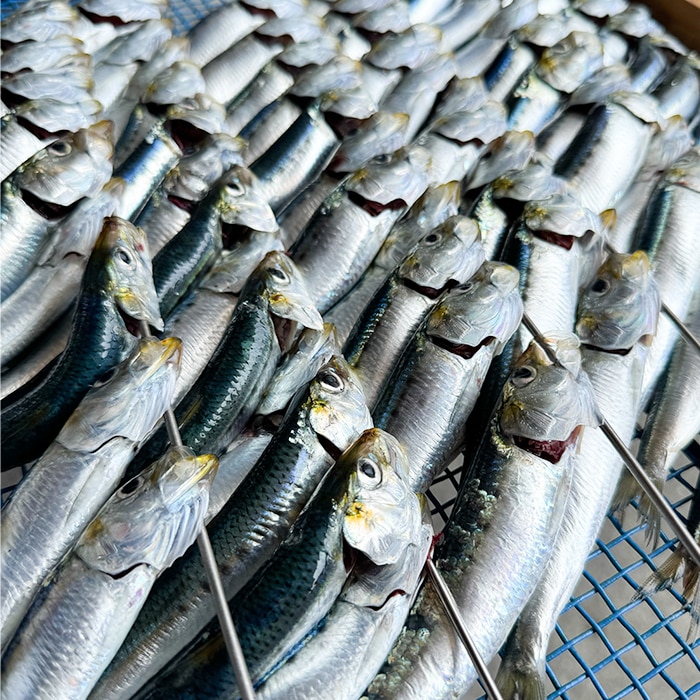 イワシの丸干し４〜5本入り（高栄養価）