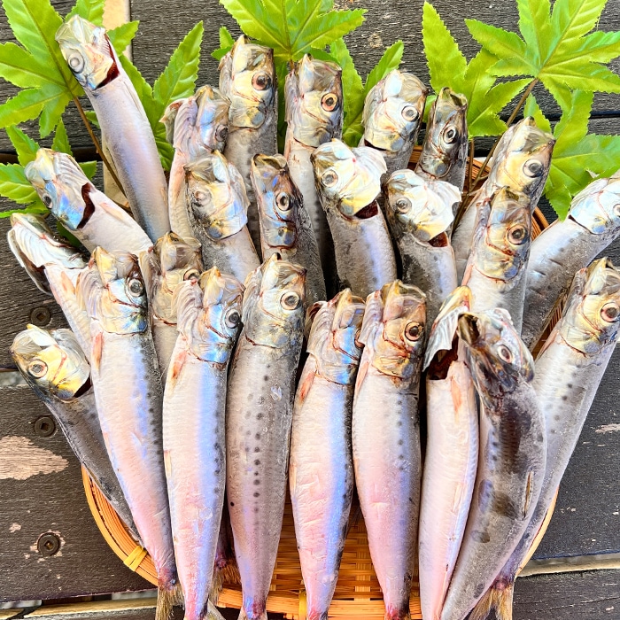 イワシの丸干し４〜5本入り（高栄養価）