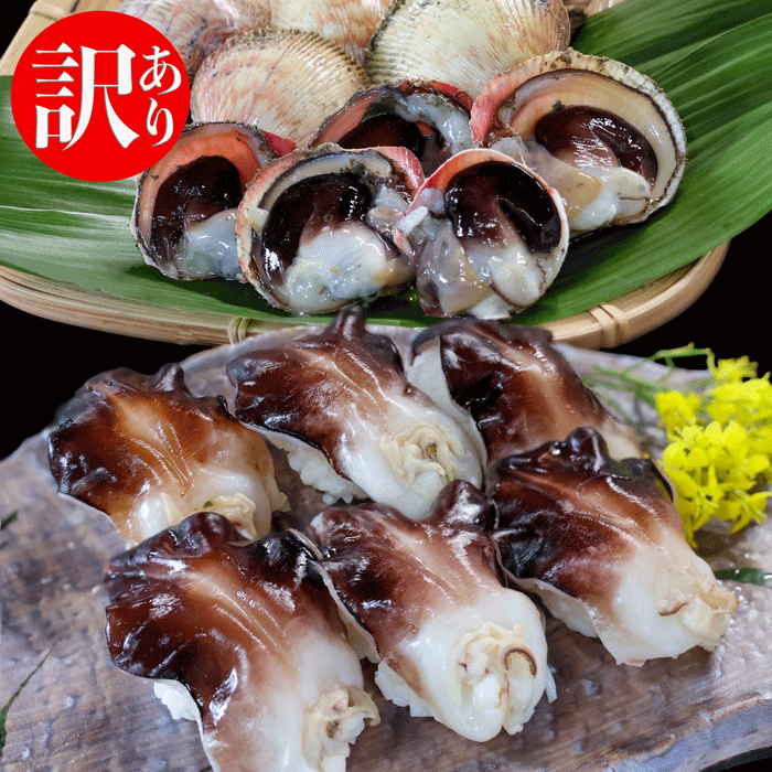 訳あり 天然とり貝 9枚入り（中～特大）冷凍 （送料無料