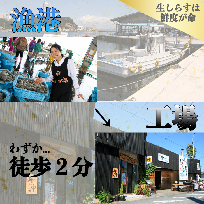 ★目玉商品 (送料無料)(お刺身用) 生しらす 400g〜1.2kg