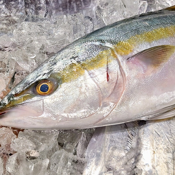 煮魚セット 天然魚（真空パック＋煮魚タレ付き＋アラ入り）