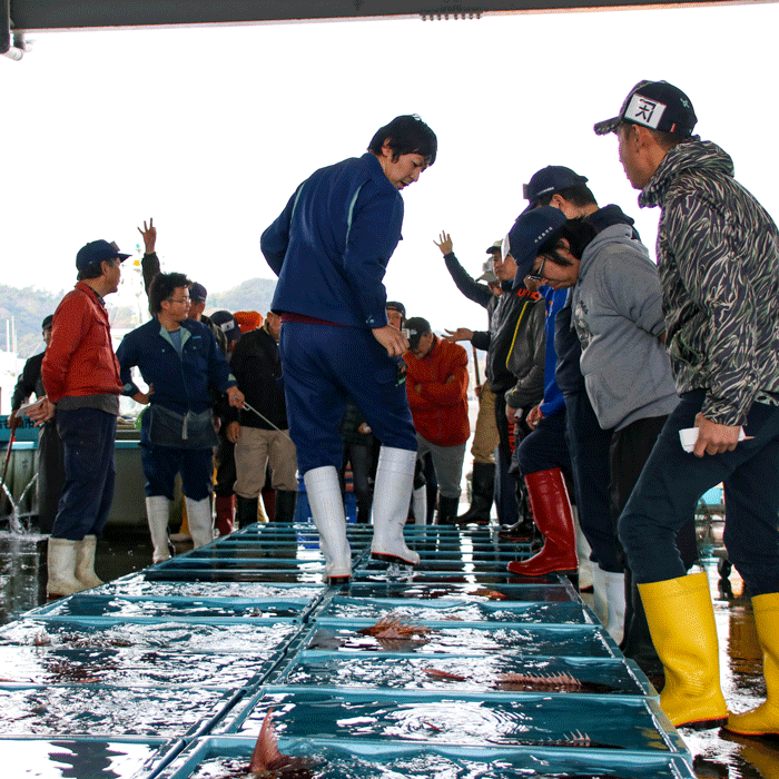 煮魚セット 天然魚（真空パック＋煮魚タレ付き＋アラ入り）