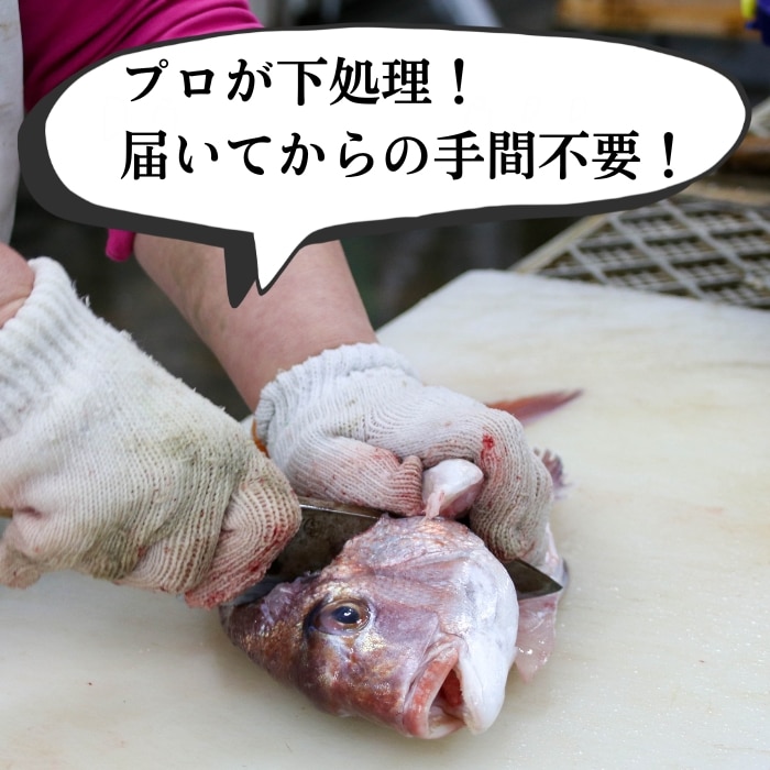 煮魚セット 天然魚（真空パック＋煮魚タレ付き＋アラ入り）
