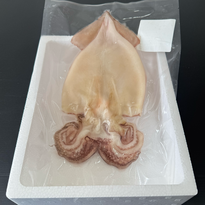 イカの干物