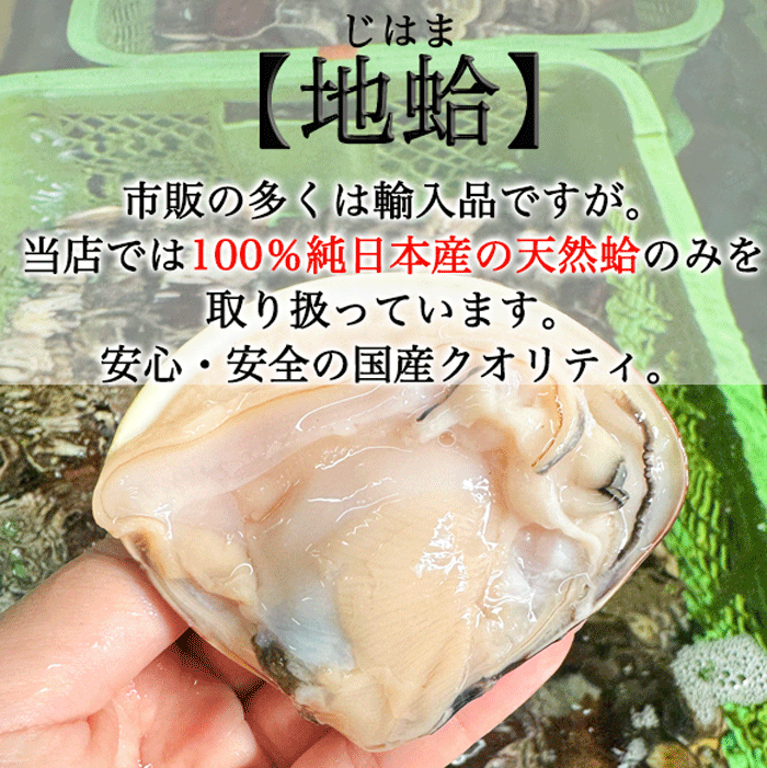 超特大・特特大！温めるだけで殻がパッと開く 天然はまぐり 殻付き 170g前後×5~10個 送料無料