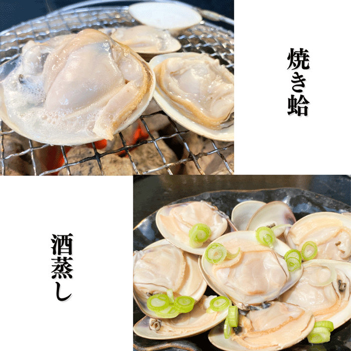 超特大・特特大！温めるだけで殻がパッと開く 天然はまぐり 殻付き 170g前後×5~10個 送料無料