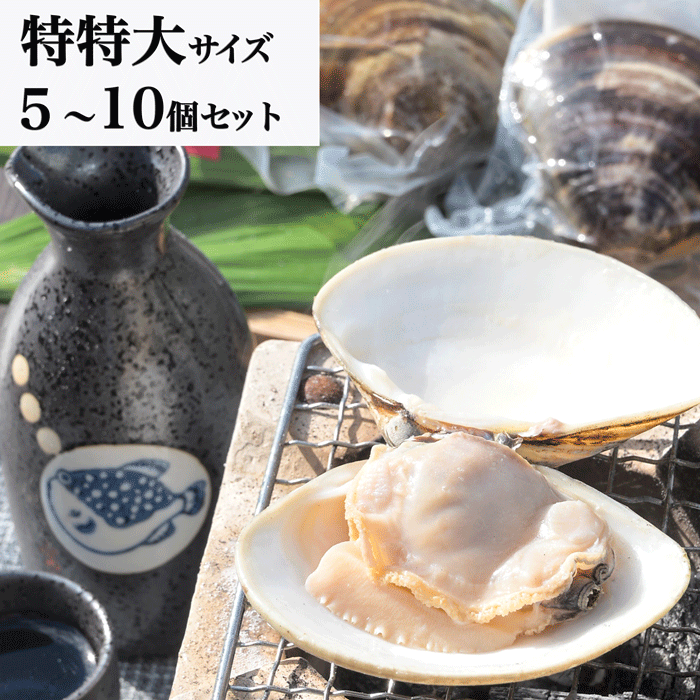 超特大・特特大！温めるだけで殻がパッと開く 天然はまぐり 殻付き 170g前後×5~10個 送料無料
