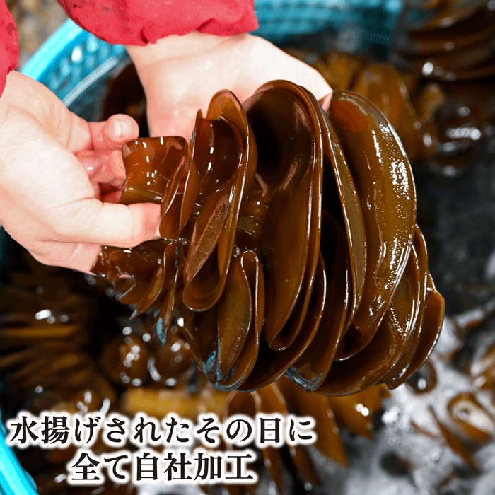 コリコリ食感のめかぶ刻み 100g