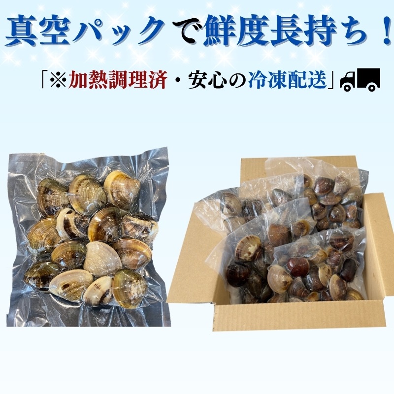 (酒蒸し・お吸い物) 中サイズ 天然本はまぐり　500g×２袋　(冷凍)
