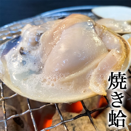 (酒蒸し・焼きサイズ） 天然はまぐり 三河湾産 500g　砂抜き済み  温めるだけで殻がパッと開く　（冷凍）（大サイズ）