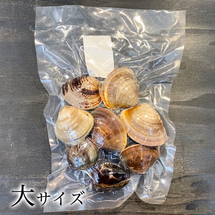 (酒蒸し・焼きサイズ） 天然はまぐり 三河湾産 500g　砂抜き済み  温めるだけで殻がパッと開く　（冷凍）（大サイズ）