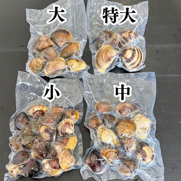 (酒蒸し・焼きサイズ） 天然はまぐり 三河湾産 500g　砂抜き済み  温めるだけで殻がパッと開く　（冷凍）（大サイズ）