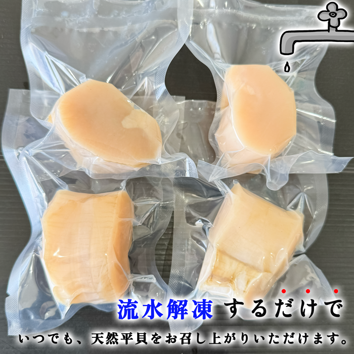 (数量限定) 天然平貝むき身　特大サイズ　4個セット (冷凍) (送料無料)(愛知県三河湾産)