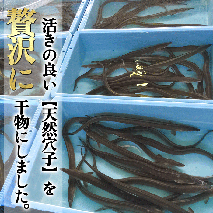 【南知多名産品】極上 天然あなごの干物 中サイズ　(保存料・着色料不使用)　