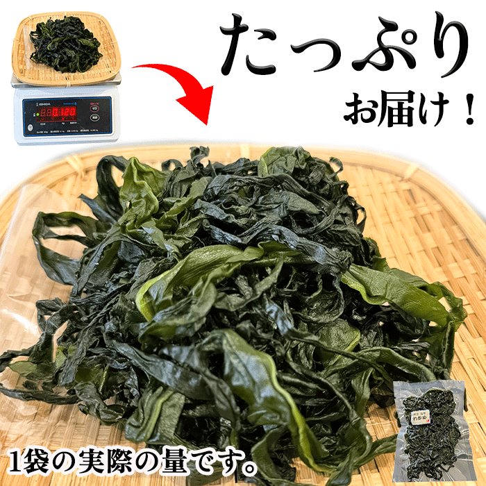 モッチモチ！お刺身わかめ (塩蔵わかめ)【知多半島直送】