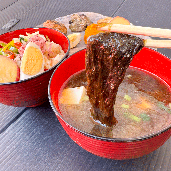 【数量限定】初摘み 生海苔(冷凍) 1kg〜2kg