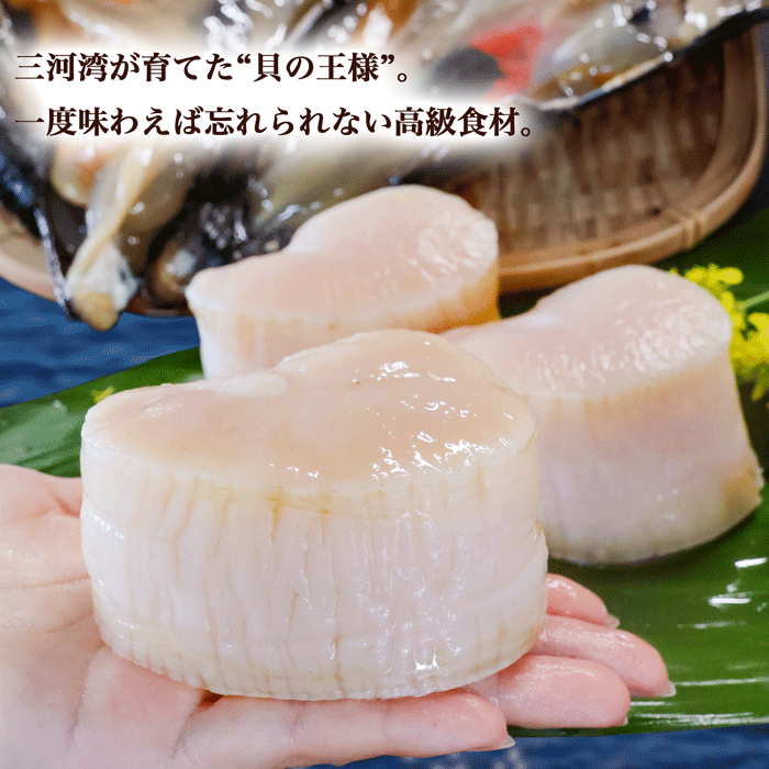 (特別価格) 天然平貝むき身　1番大きい特特大サイズ　4個セット (冷凍) (送料無料)(愛知県三河湾産)