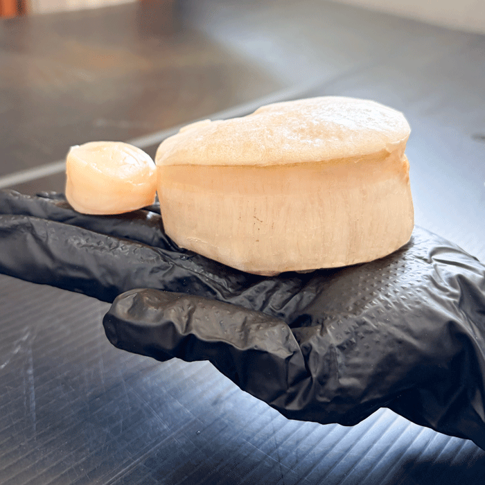 (特別価格) 天然平貝むき身　1番大きい特特大サイズ　4個セット (冷凍) (送料無料)(愛知県三河湾産)