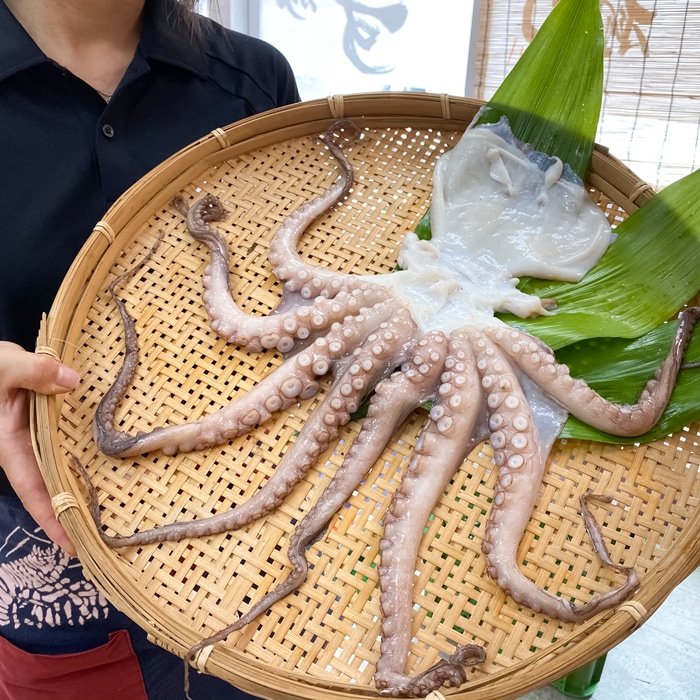 天然真蛸の干物 