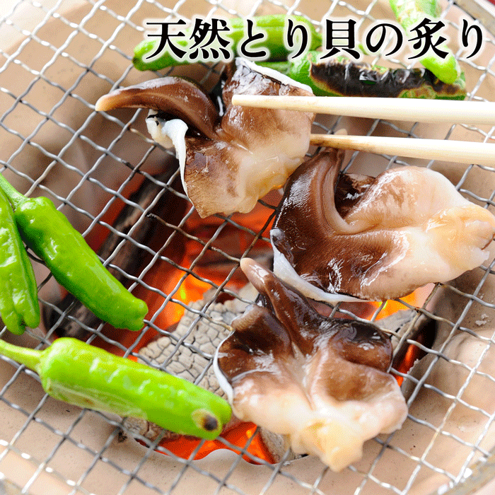 (２袋＋１袋キャンペーン中) 天然とり貝お刺身 大サイズ (送料無料)