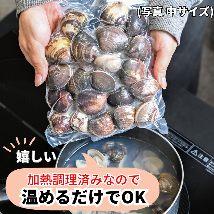 サイズ色々 天然本はまぐり 500g 三河湾産 