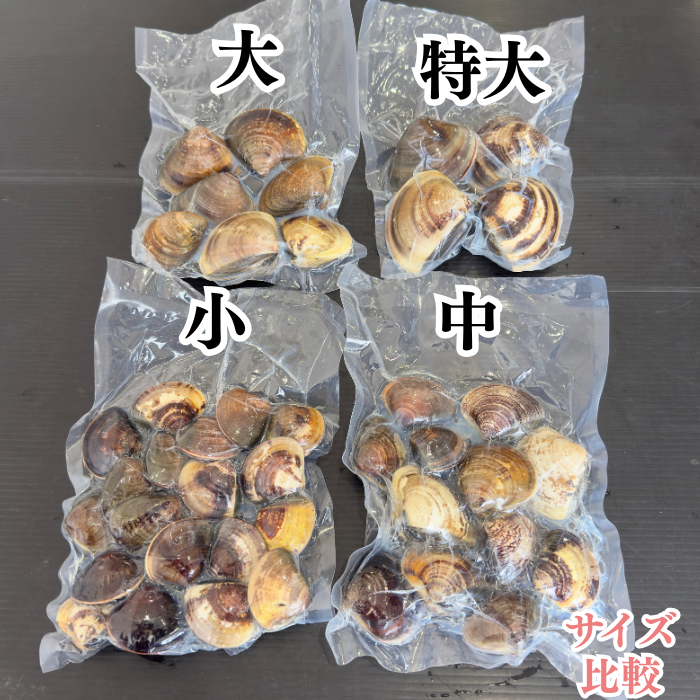 サイズ色々 天然本はまぐり 500g 三河湾産 