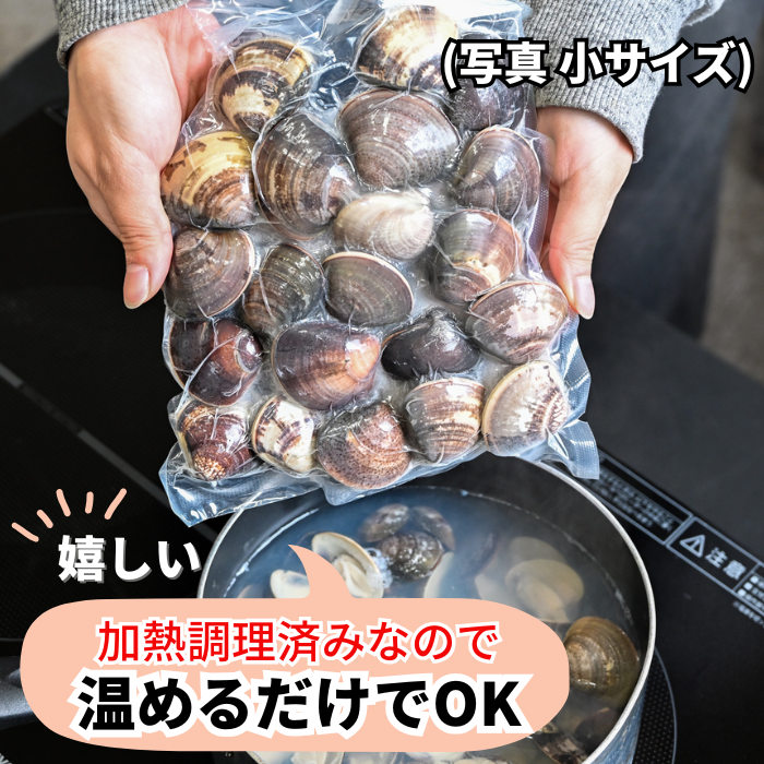 (200g蛤無料プレゼント中)（焼きサイズ） 特大 天然本はまぐり　500g×２袋　(冷凍)