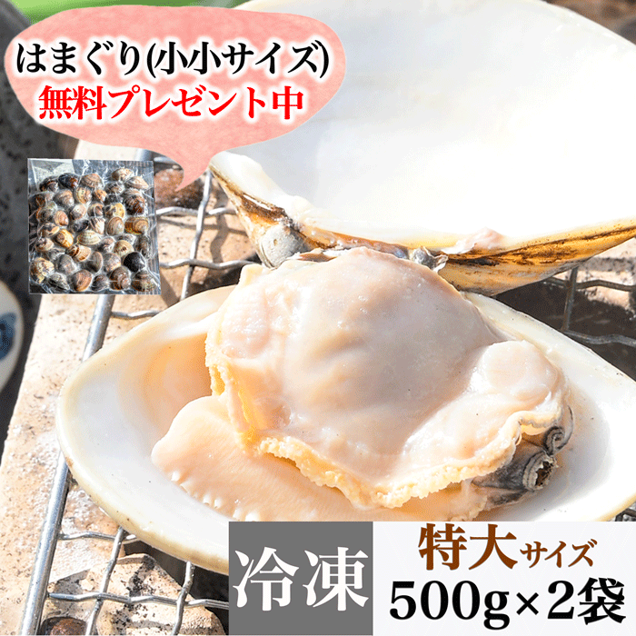 (200g蛤無料プレゼント中)（焼きサイズ） 特大 天然本はまぐり　500g×２袋　(冷凍)