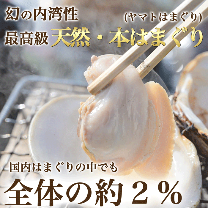 (200g蛤無料プレゼント中)（焼きサイズ） 特大 天然本はまぐり　500g×２袋　(冷凍)