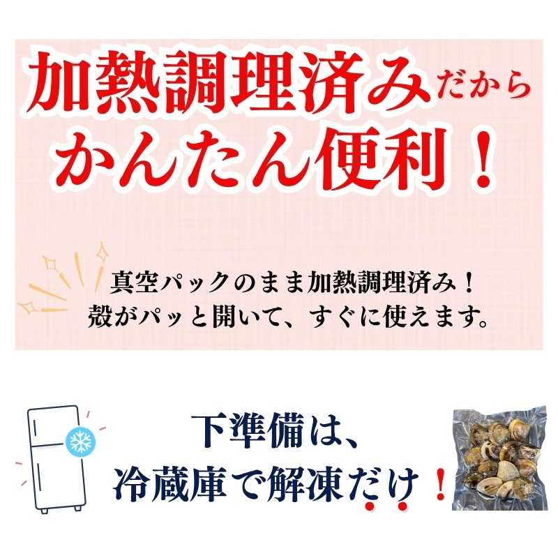 (200g蛤無料プレゼント中)（焼きサイズ） 特大 天然本はまぐり　500g×２袋　(冷凍)