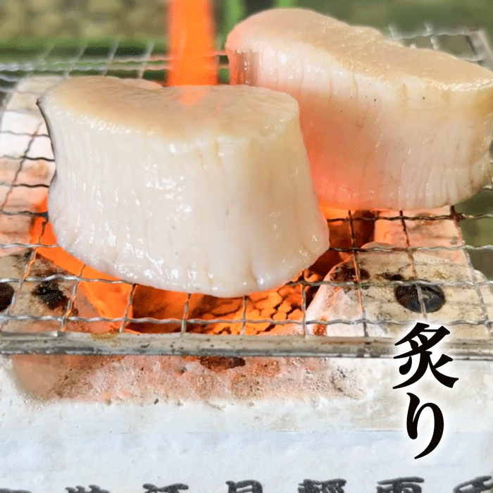 (春限定) 天然平貝【特大サイズに無料変更中】4個/8個セット 【冷ぞう】