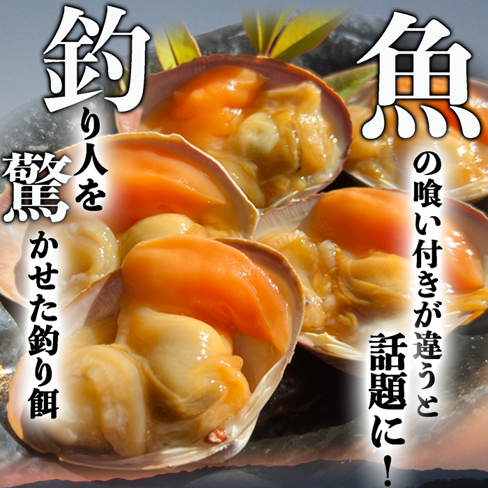青柳(アオヤギ) 釣り餌 (小サイズ)  1袋 150g