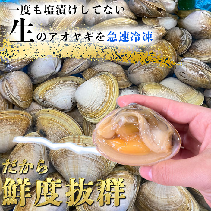 青柳(アオヤギ) 釣り餌 (小サイズ)  1袋 150g