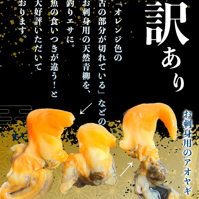 青柳(アオヤギ) 釣り餌 (小サイズ)  1袋 150g