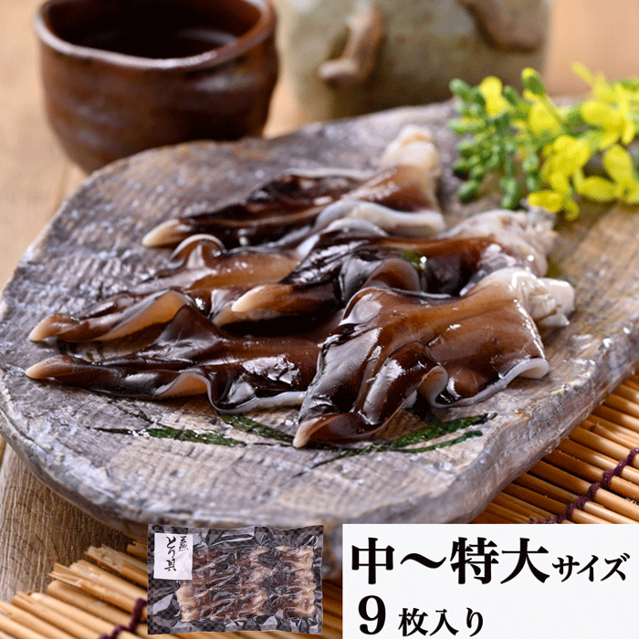 天然とり貝 9枚入り(中~特大)(冷凍)