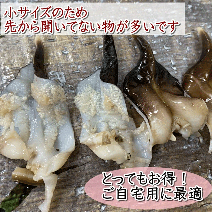 (お買い得パック) 訳あり 天然とり貝 【冷ぞう】