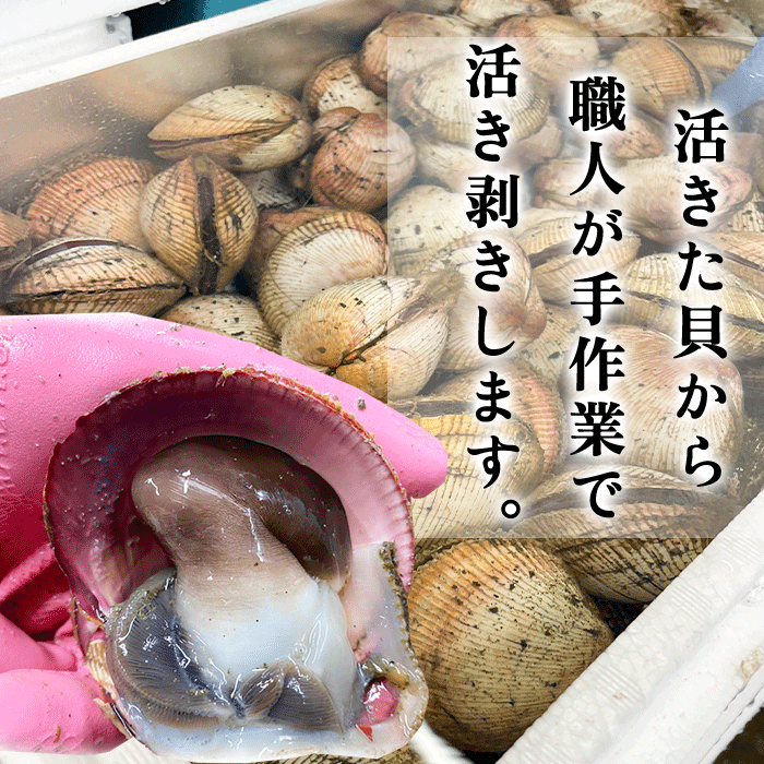 天然とり貝 9枚入り（中～特大）【冷ぞう】(春限定) | とり貝 | 岬だ