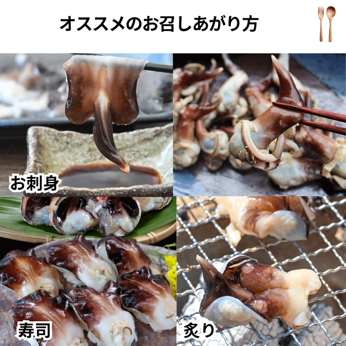 1番人気)】☆旬のとり貝を心ゆくまで味わいたい方に ~天然とり貝極み
