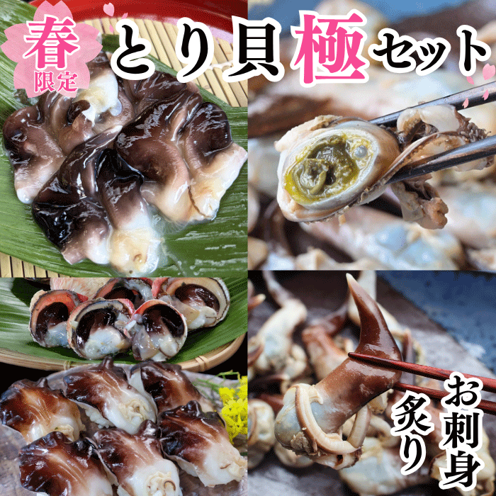 1番人気)】☆旬のとり貝を心ゆくまで味わいたい方に ~天然とり貝極み
