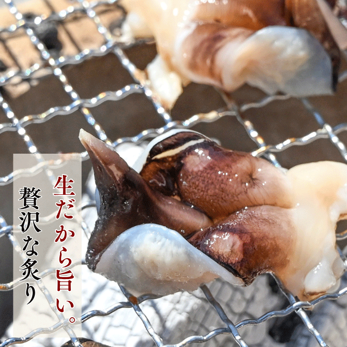 復刻版】☆旬のとり貝を心ゆくまで味わいたい方に ~天然とり貝極み