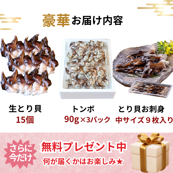 1番人気)】☆旬のとり貝を心ゆくまで味わいたい方に ~天然とり貝極み