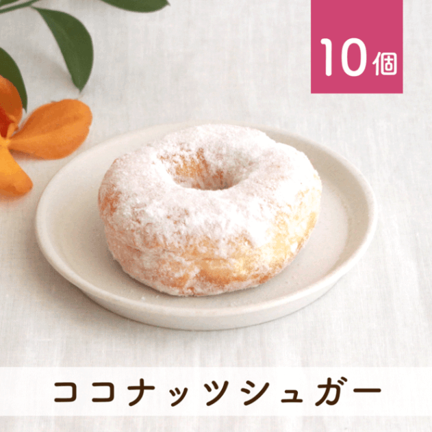 ココナッツシュガー 10個セット(個包装)