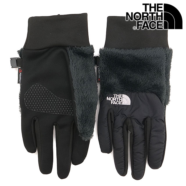 ザ・ノース・フェイス THE NORTH FACE デナリイーチップグローブ