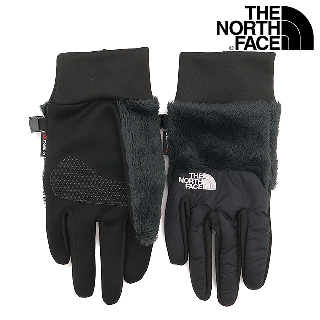 ザ・ノース・フェイス THE NORTH FACE デナリイーチップグローブ